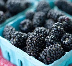 Blackberry — ranked #13