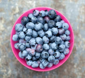 Blueberry — ranked #11