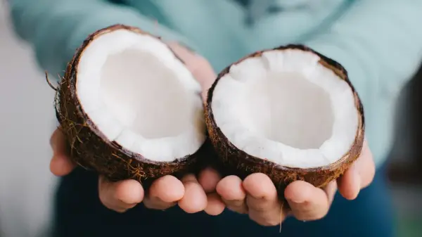 Coconut - ranking option ranked #21