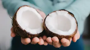 Coconut — ranked #21