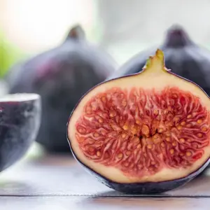 Fig — ranked #28