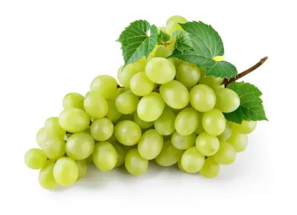 Grapes - ranking option ranked #5