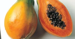 Papaya — ranked #15