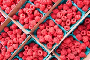 Raspberry — ranked #12
