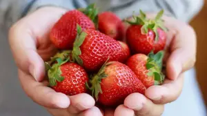 Strawberry — ranked #2