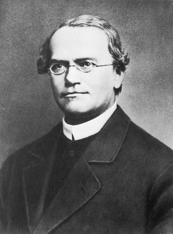 Gregor Mendel - ranking option ranked #22