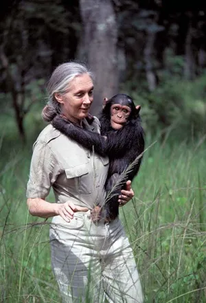 Jane Goodall — ranked #19