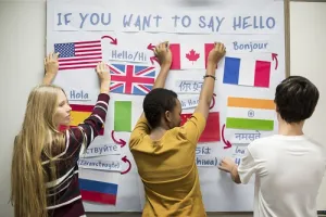 Foreign Languages — ranked #8