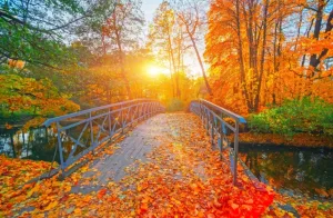 Autumn — ranked #3