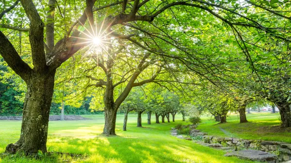 Summer - ranking option ranked #2