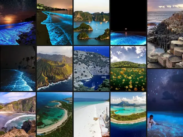 Most scenic location to watch bioluminescence