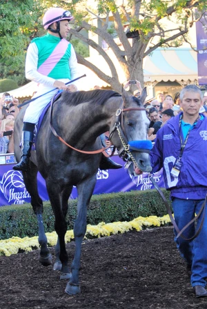 Arrogate (2016) — ranked #3