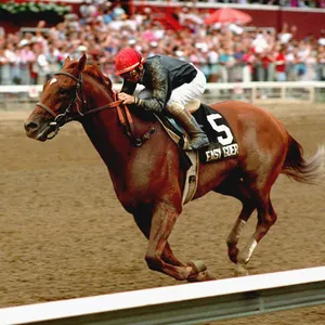 Easy Goer (1989) — ranked #9