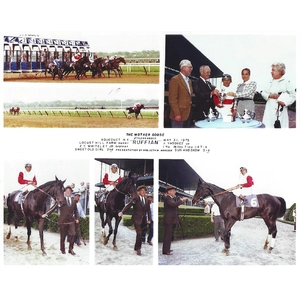 Ruffian (1975) — ranked #10