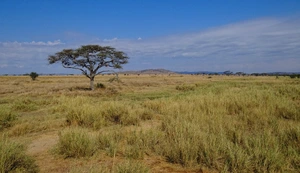 Serengeti National Park — ranked #8