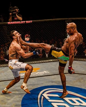 Anderson Silva vs Vitor Belfort — ranked #4