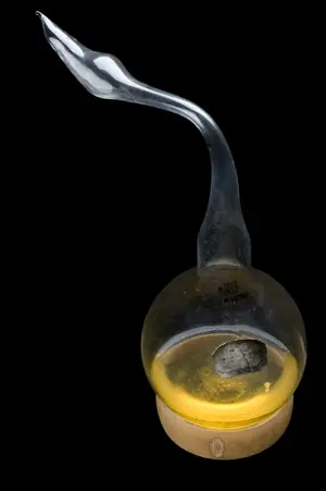 Pasteur's Swan-Neck Flasks — ranked #5