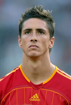 Fernando Torres — ranked #8