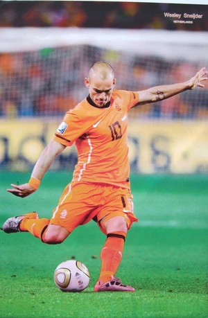 Wesley Sneijder — ranked #9