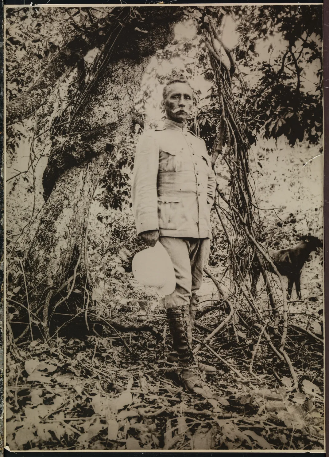 Theodore Roosevelt — ranked #7
