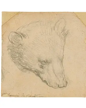 Head of a Bear — ranked #7