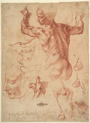 Studies for the Libyan Sibyl — ranked #6
