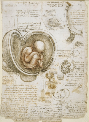 Studies of the Foetus in the Womb — ranked #3