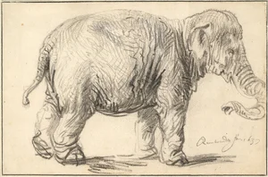 The Elephant — ranked #8
