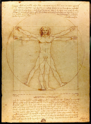Vitruvian Man — ranked #1