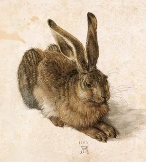 Young Hare — ranked #5