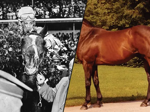 The 13 Most Influential Thoroughbred Sires in Racing History