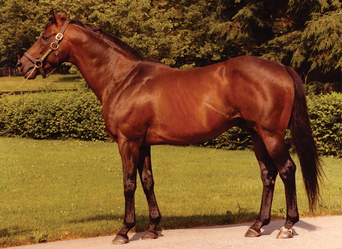 Mr. Prospector — ranked #2