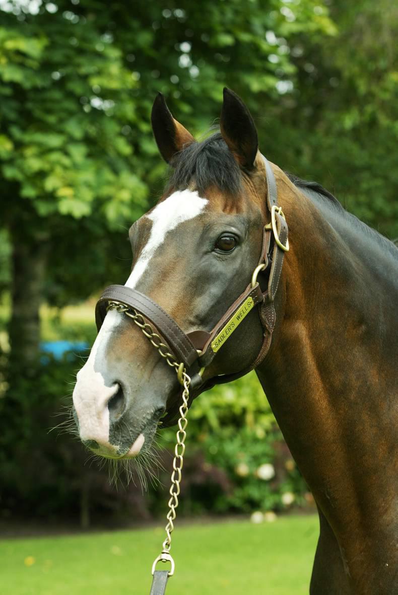 Sadler's Wells — ranked #6