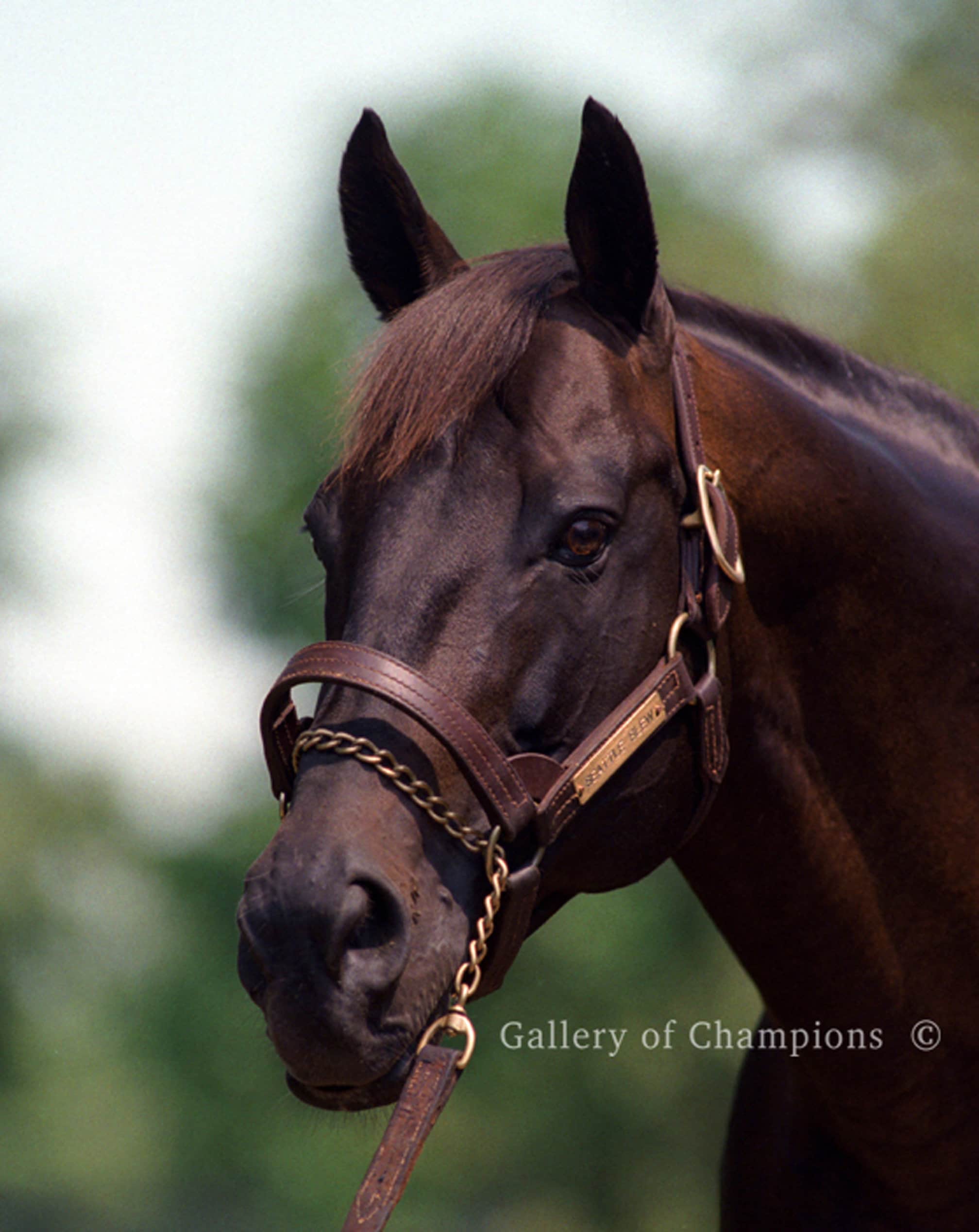 Seattle Slew — ranked #10