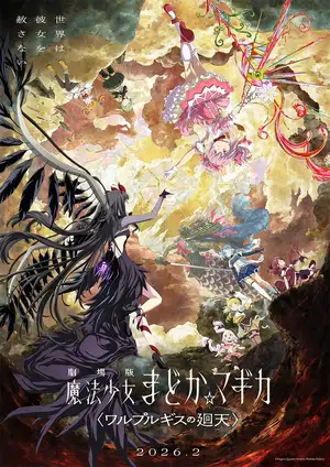 Puella Magi Madoka Magica — ranked #14