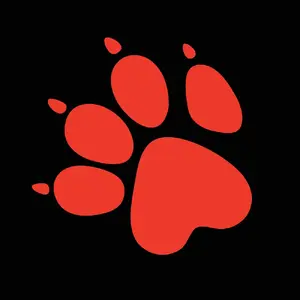 Naughty Dog — ranked #2