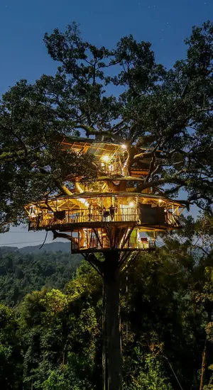 Gibbon Experience — ranked #12
