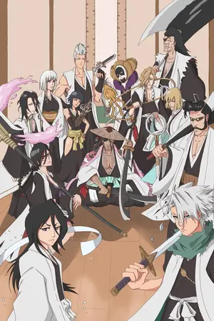 Gotei 13 (Bleach) — ranked #6