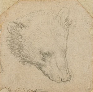 Head of a Bear — ranked #13