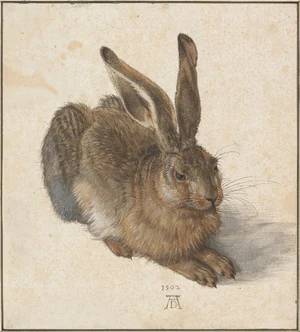 Young Hare — ranked #6