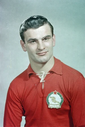Sandor Kocsis — ranked #2