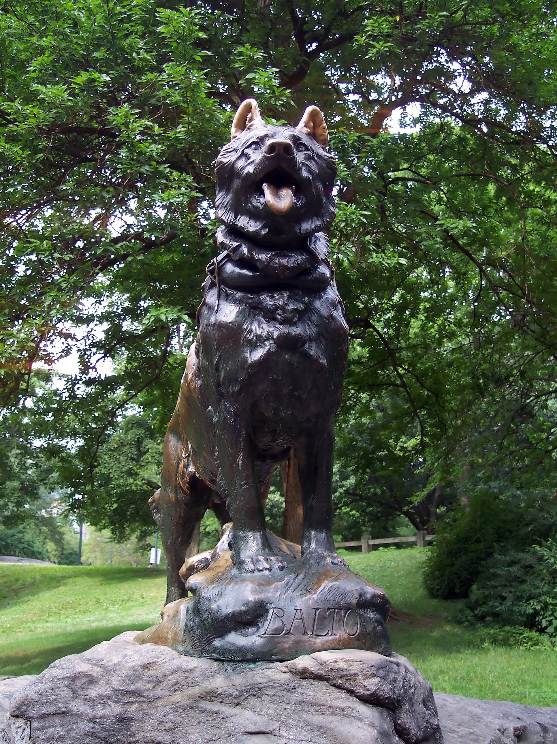 Balto — ranked #5