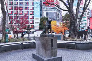 Hachiko — ranked #14