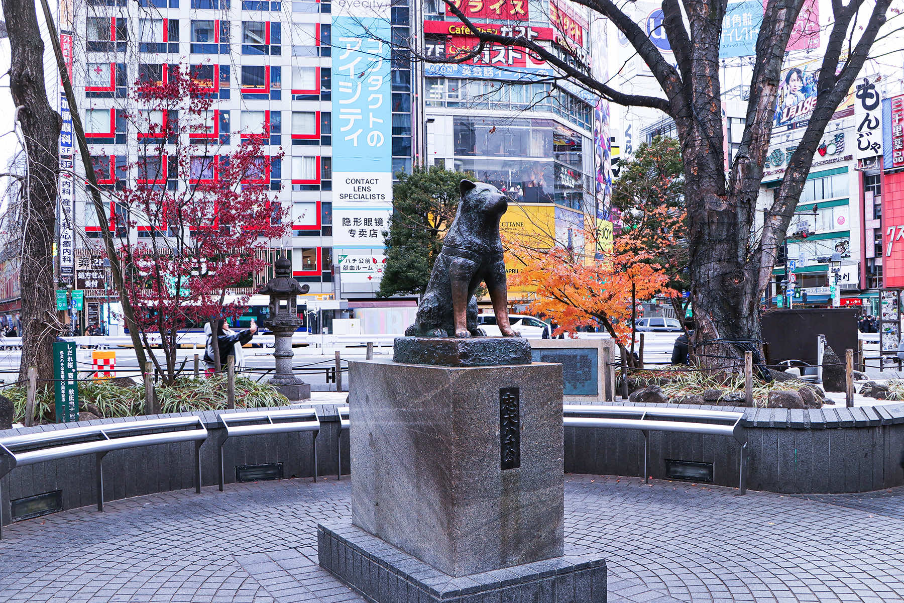 Hachiko — ranked #14