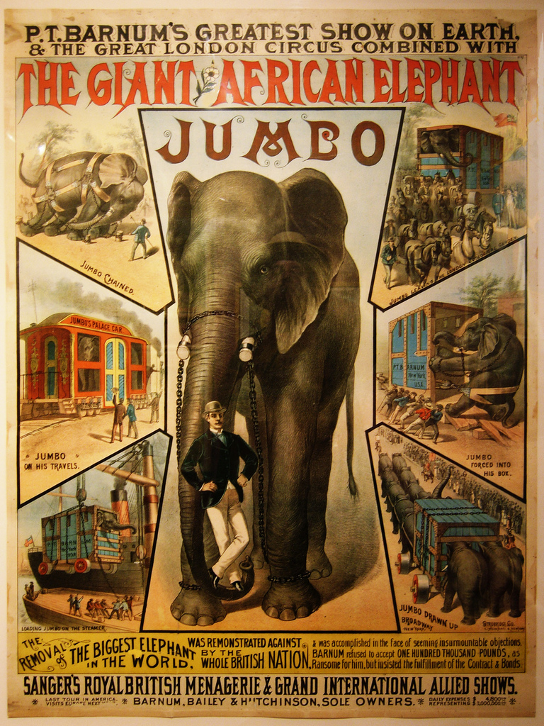 Jumbo — ranked #10