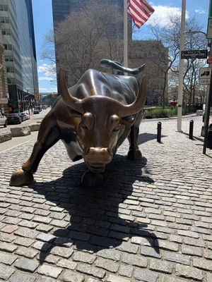 Charging Bull — ranked #10
