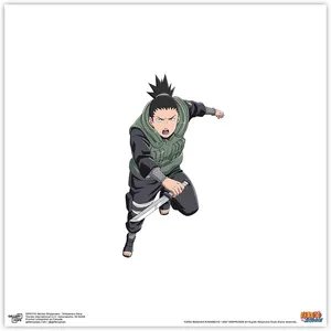 Shikamaru Nara — ranked #11
