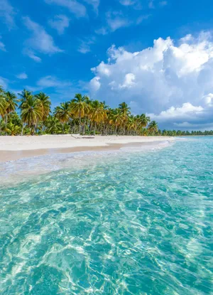 Dominican Republic — ranked #5