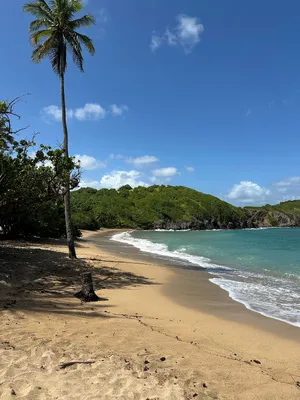 Martinique — ranked #13