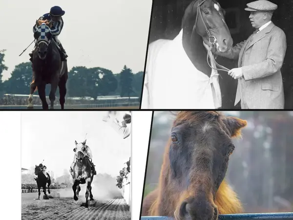 The 15 Best Racehorse Names of All Time